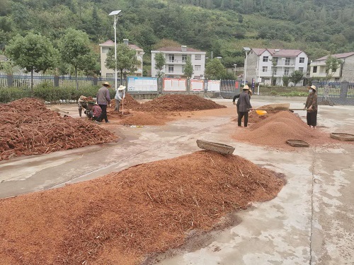 中坝乡：找准“三个发力点”壮大村集体经济