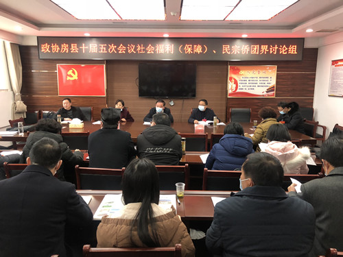 丁选清参加政协社会福利（保障）、民宗侨团界联组讨论