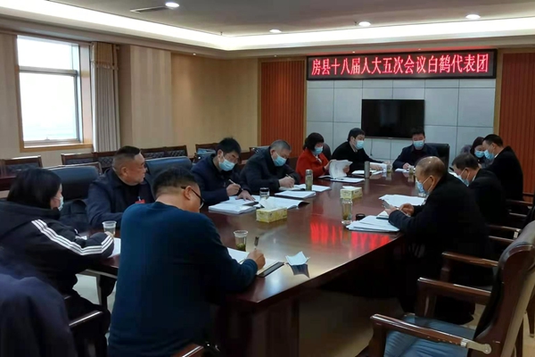 高明哲参加白鹤镇和土城镇人大代表团分组讨论