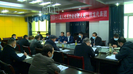 王宇星 何庆国参加野人谷 回龙人大代表团分组讨论