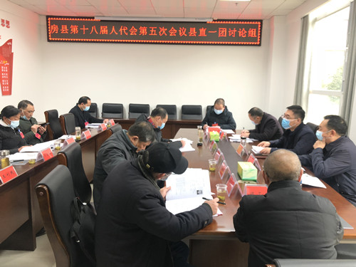 高勇参加县十八届人大五次会议县直一团分组讨论