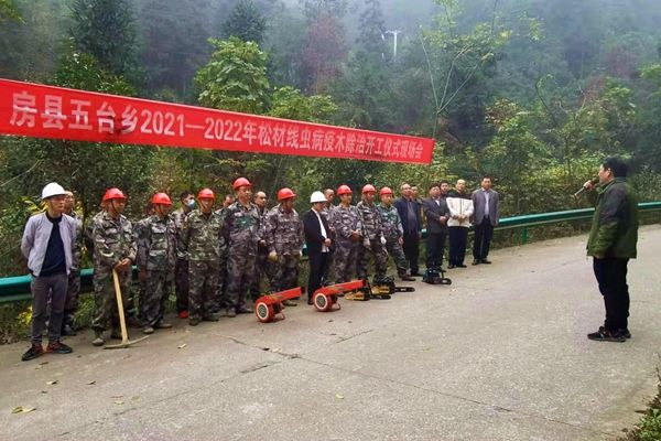房县启动今冬明春松材线虫病疫木除治工作