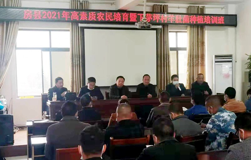 军店镇：岗位大练兵 农技率先行