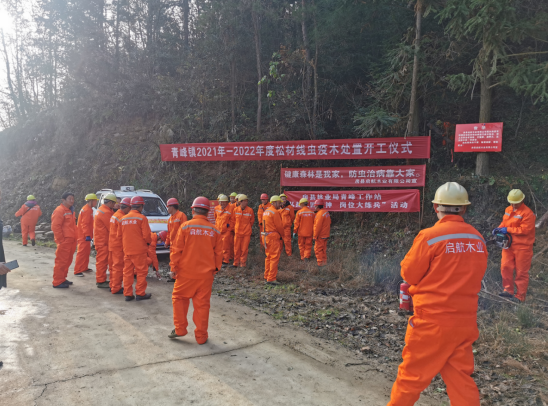 青峰镇：多举措确保“林长制”工作 有序推进