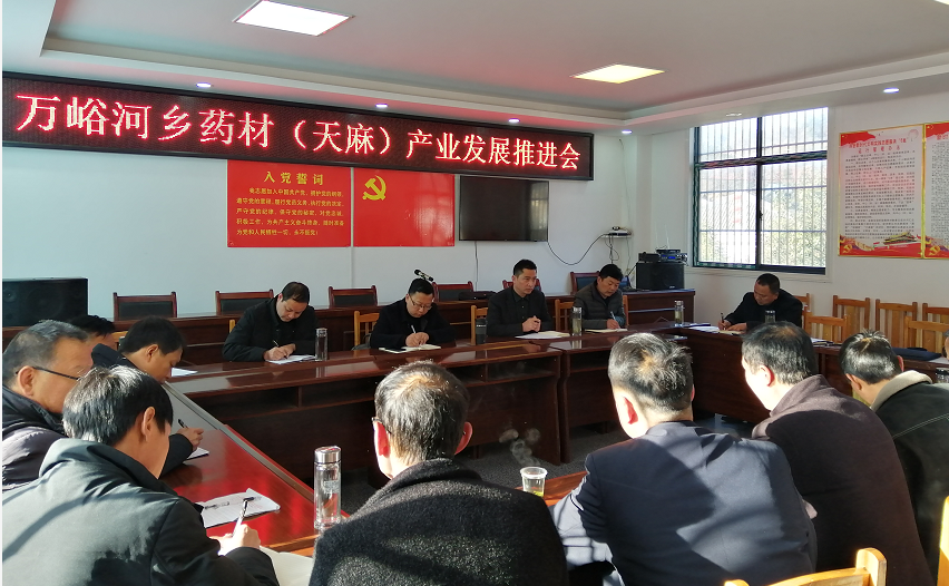 万峪河乡召开药材（天麻）产业发展推进会