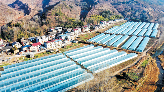 房县：农业增效 农民增收