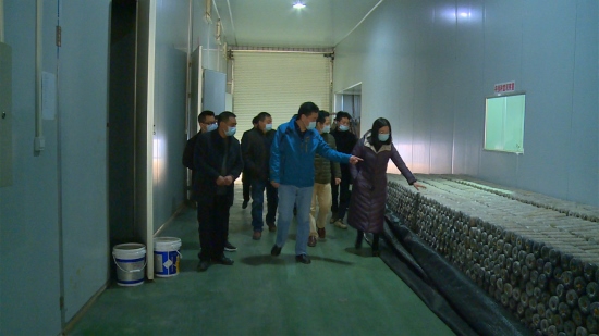 华中农业大学专家组来我县调研特色产业