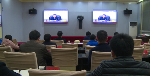 全市稳就业保就业工作视频会议召开