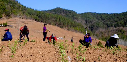 青峰镇抢抓“四早”备战春季农业生产