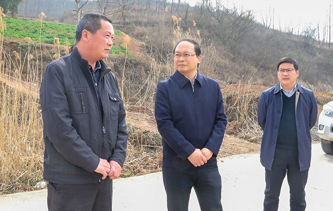 蔡贤忠强调：坚持规划引领打造乡村振兴示范村