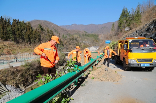 县交通运输局：人勤春来早  绿植正当时
