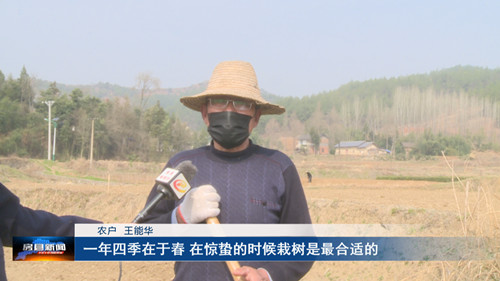 红塔镇：人勤春来早 春耕正当时