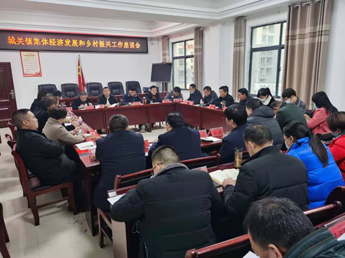 城关镇：以项目拉练激发集体经济和乡村振兴创新发展活力