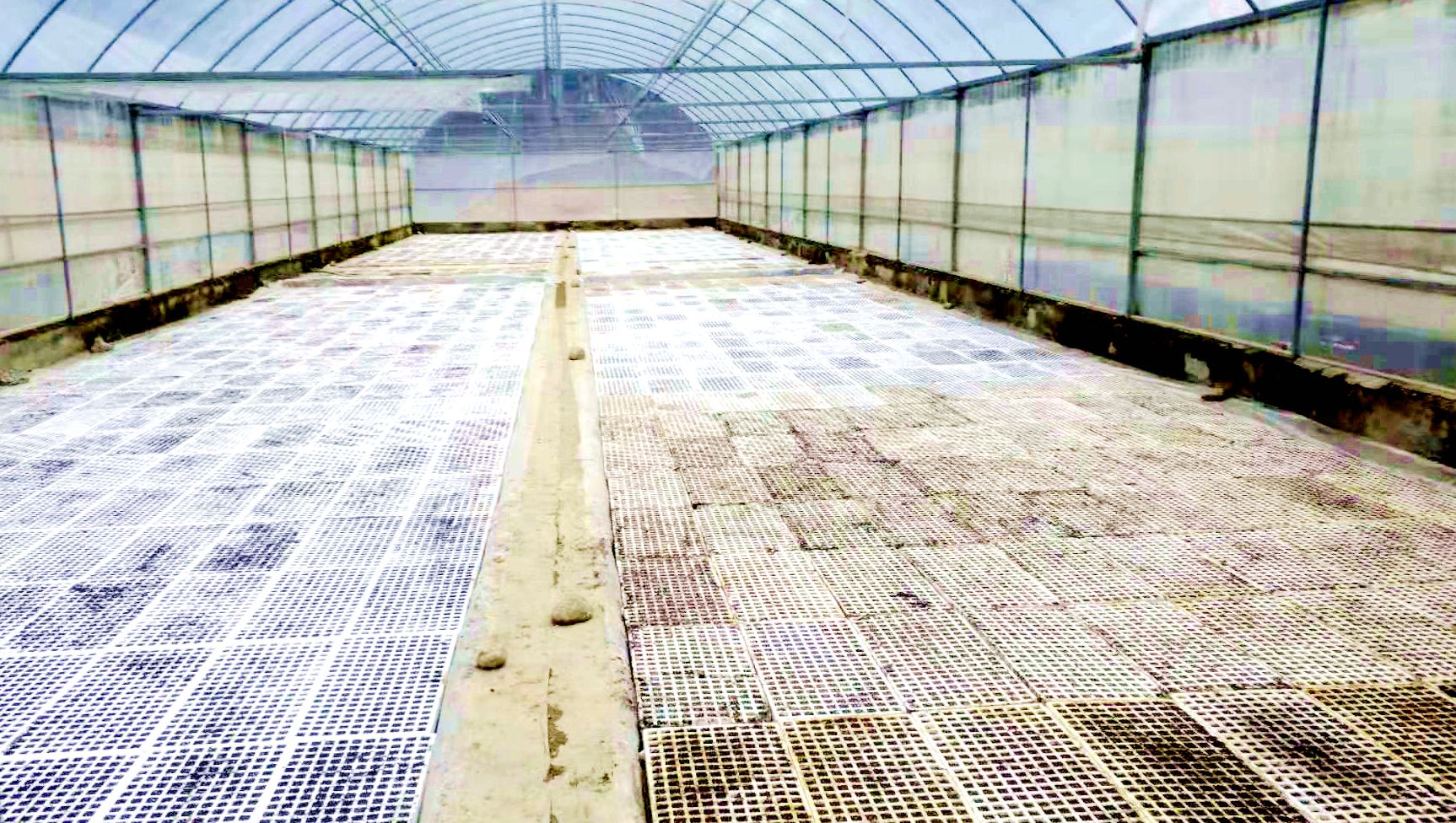 上龛乡：干群齐绘“春耕图”