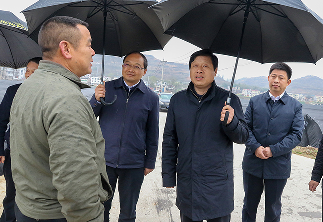 张维国强调：推进竹房城镇带乡村旅游协同发展