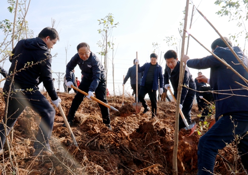 房县开展全民义务植树活动 共建绿色家园