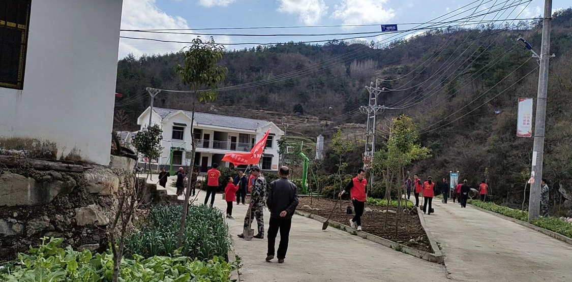 万峪河乡植树造林  造福群众