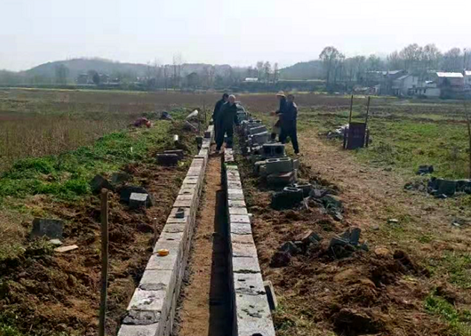 化龙堰镇：高标准“水利”激发耕地“新活力”