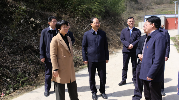 胡志莉在房县调研时强调：坚持党建引领 厚植乡村振兴组织力量