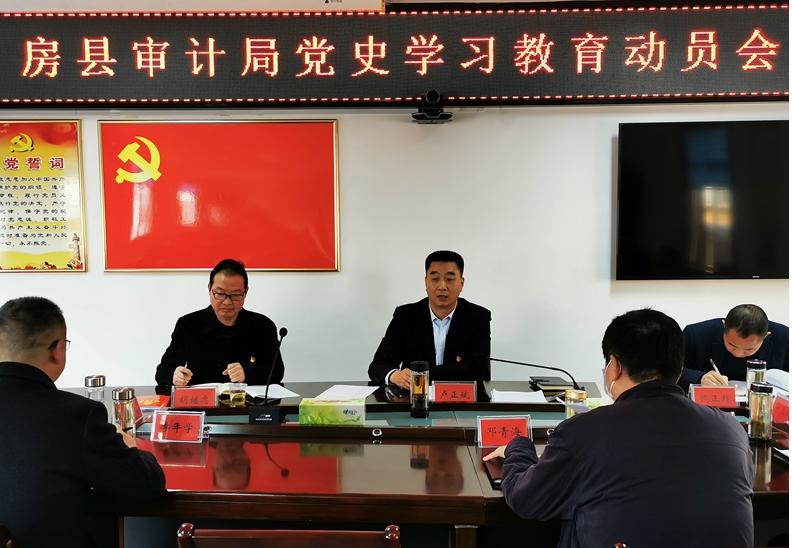 县审计局：“三强化三确保”助推党史学习教育走深做实