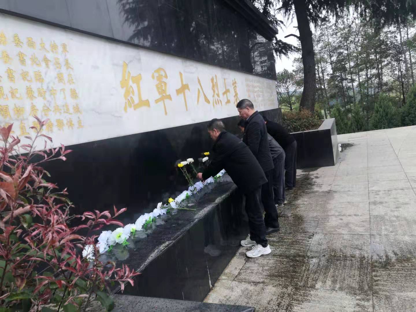 202104021545524618.jpg 202104021545524618.jpg