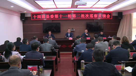 十四届县委第十一轮第二批次巡察反馈会召开