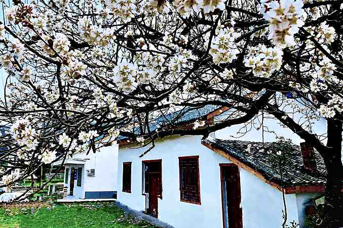 房县住建局荣获全省脱贫攻坚先进集体荣誉称号