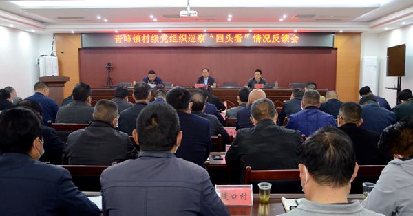 县委第五巡察组向青峰镇反馈村级党组织巡查“回头看”情况
