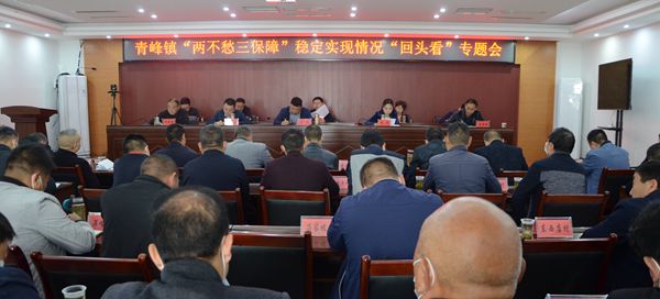 青峰镇安排部署“两不愁三保障”稳定实现情况“回头看”工作
