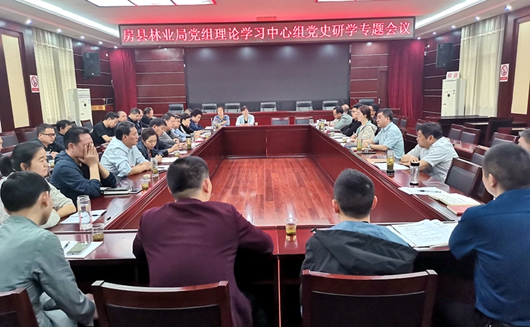 县委党史学习教育巡回督导组巡听旁听县林业局党组理论学习中心组党史研学专题会议