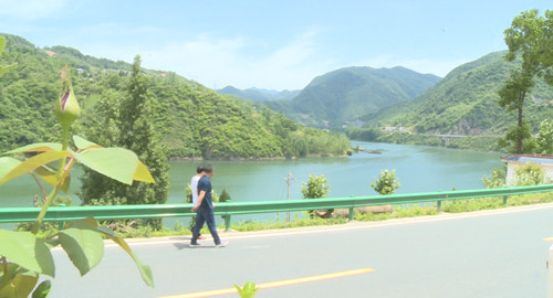 县政协开展农村人居环境整治工作视察活动