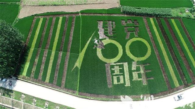 房县城关镇稻禾绣图庆祝党的生日