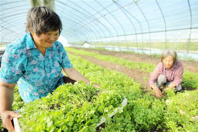房县留守妇女家门口就业