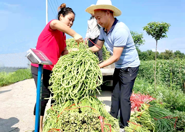 化龙堰镇：果蔬喜获丰收