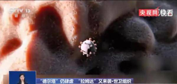 超千人感染，在美国蔓延 “拉姆达”比德尔塔传染性更高？