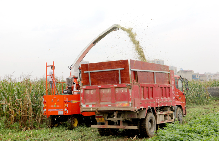 机械助力秋收忙