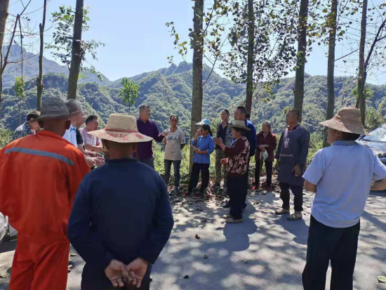 姚坪乡虎尾沟村：全面开展茶叶害虫防治