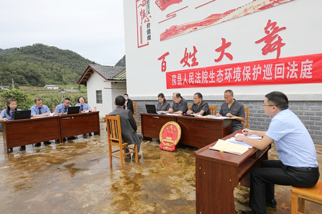 刑事+公益！房县法院生态保护法庭开展首次巡回审判