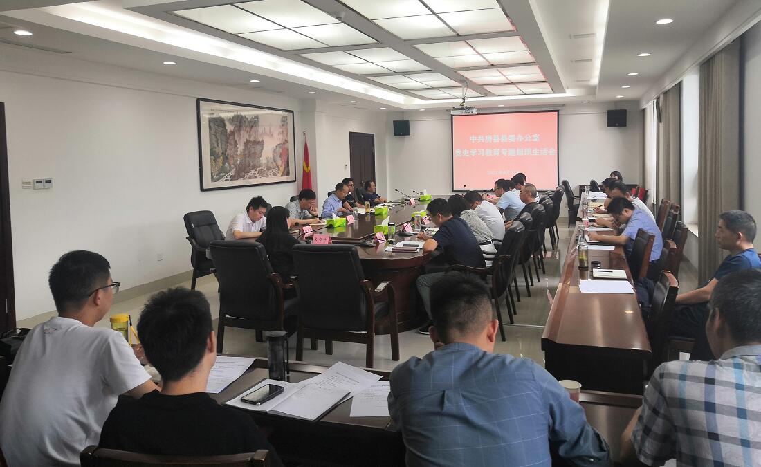 县委办党支部开展党史学习教育专题组织生活会