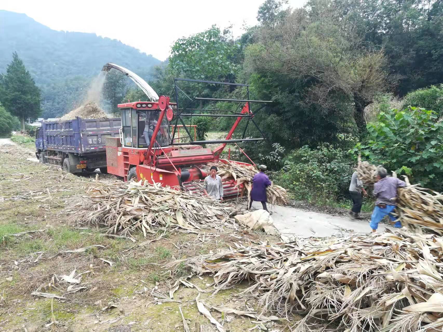 土城镇秸秆利用“变废为宝”还农村一片蓝天