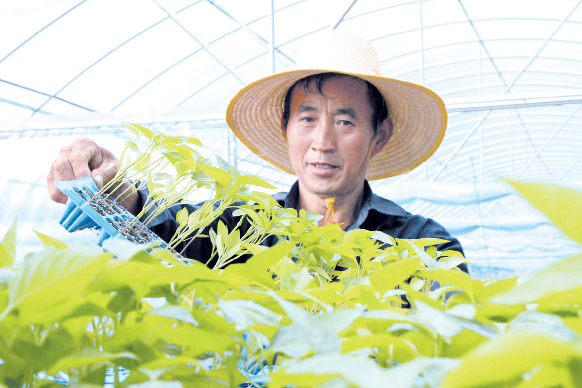 化龙堰镇：稳产业 促增收