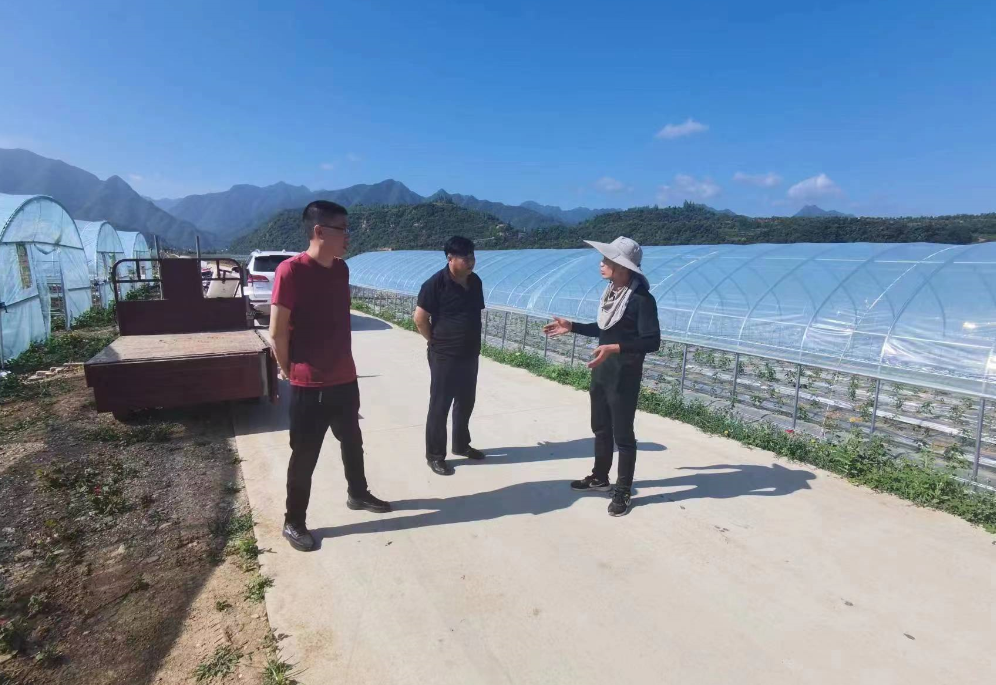 军店镇：营商环境，“优无止境”