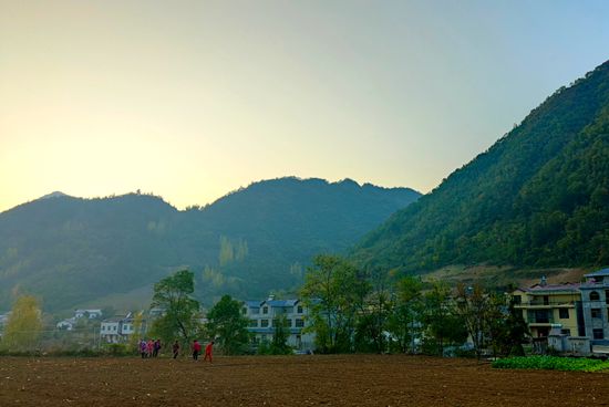 大木厂镇：建设蔬菜大棚 赋能产业振兴