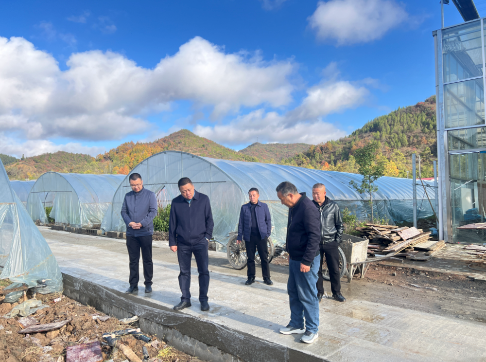 化龙堰镇：“三个抓手”持续优化营商环境