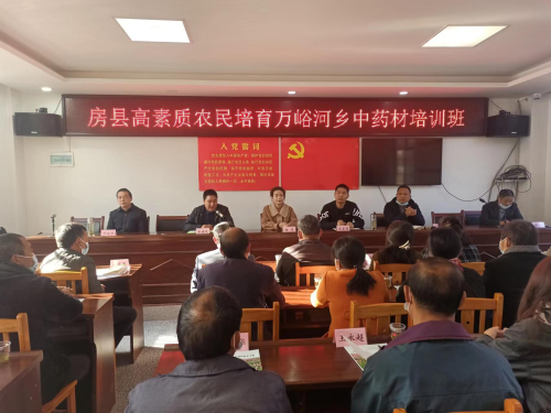 万峪河乡开展高素质农民中药材培训班
