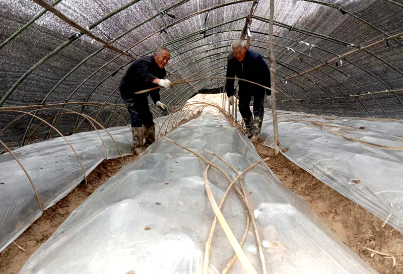 小亭村:发展特色产业 助力乡村振兴