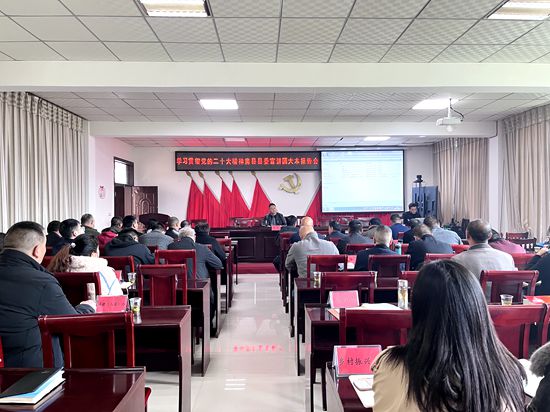 大木厂镇“三到位”学习贯彻党的二十大精神