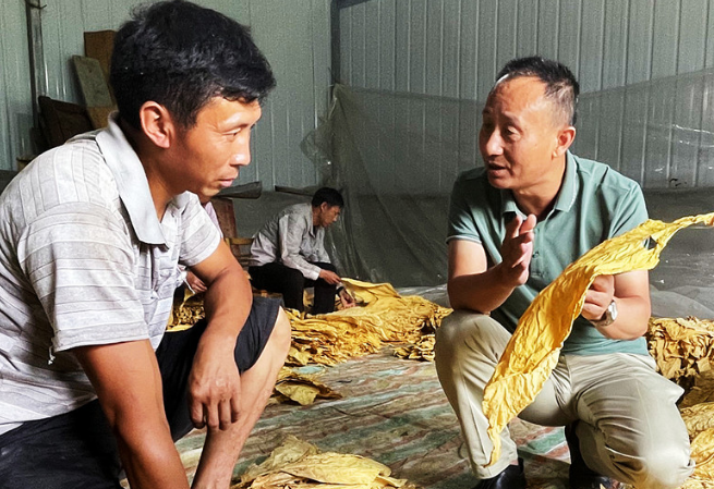 烟叶托起幸福生活底气