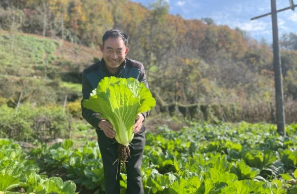 湖北房县：致富多元化 幸福路更宽