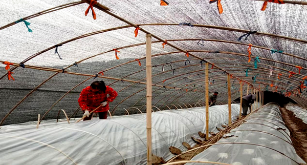 穿山堰村:大户引领兴产业  经济倍增振乡村